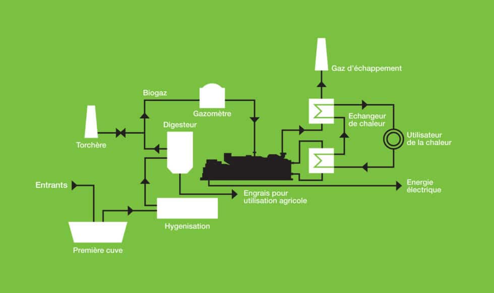 Cog N Ration Biogaz De M Thanisation Agricole