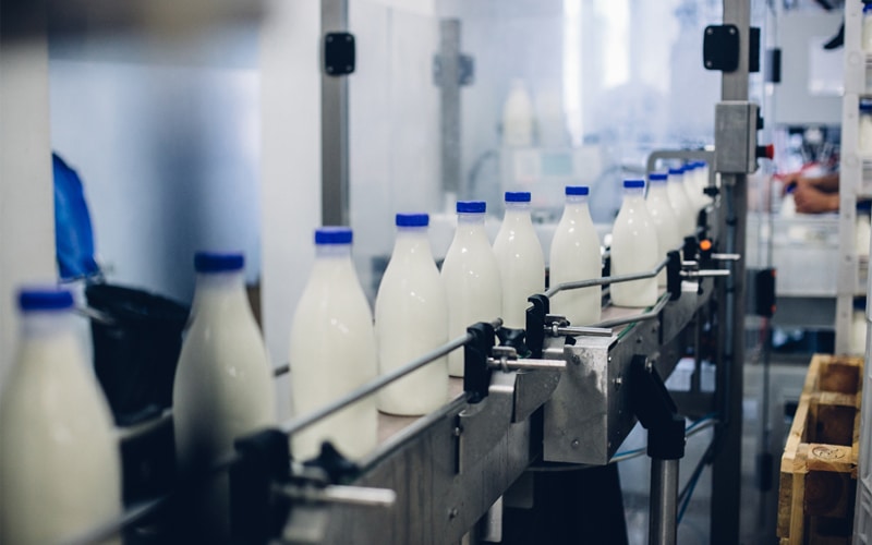 Milk, Energy, and Innovation: Exploring CHP’s Role in Modern Dairies