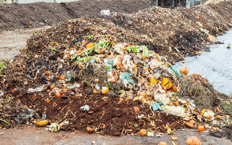 Στα αγγλικά: Harnessing Organic Waste for a Better Future