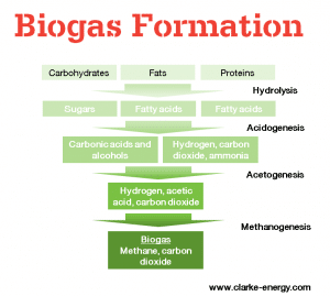 A diagram of the formation of biogas, showing hydrolysis, acetogenesis, acidogenesis and methanogenesis